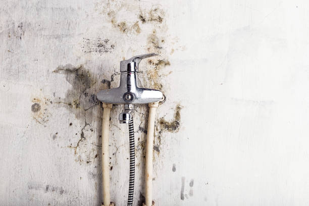 Best Mold Remediation  in Soquel, CA