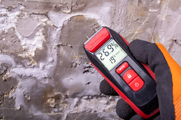 Best Emergency Mold Removal  in Soquel, CA