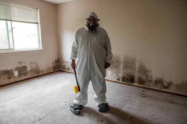 Best Mold Testing  in Soquel, CA